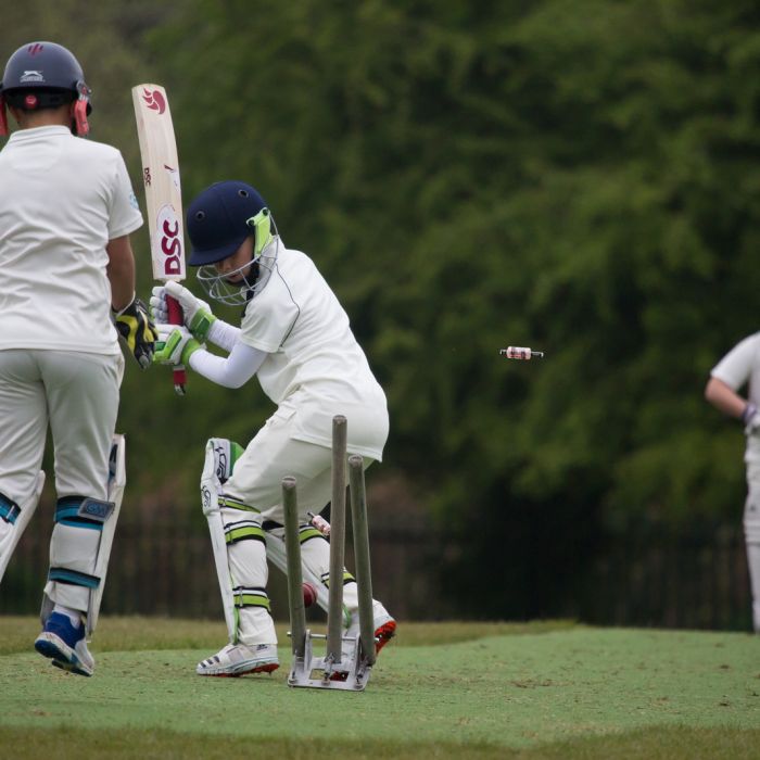 cricket-2